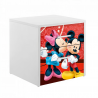 Noptiera Minnie si Mickey