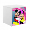 Noptiera Mickey si Minnie