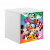 Noptiera Lumea lui Mickey